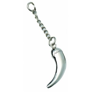 Ciondolo Amuleto a Corno con Catena, Collana alla Moda in Tono Argento - Product Image 1