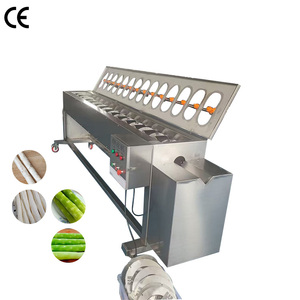 ราคาเครื่องปอกเปลือกหัวไชเท้าอัตโนมัติสำหรับอุตสาหกรรม - Product Image 1