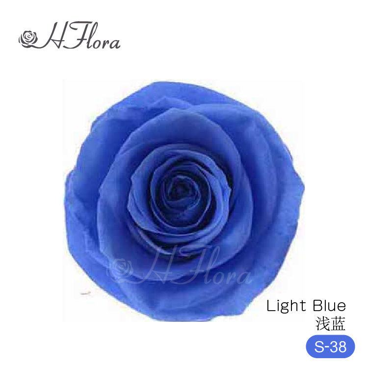 Bleu