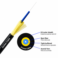 Câble de branchement rond 3,0 mm 1 fibre autoportant FTTH G657A G657B3 LSZH TPU Câble à fibre optique GJFJH Fibra Drop Tipo Redonda