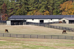 ประตูหน้าม้าที่มั่นคงประตูม้าเคลื่อนย้ายได้ - Product Image 3