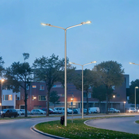 Réverbère intelligent ZGSM AC 100-277V DC 12V 24V en option 30w 80w 100w 120w 150w 200w, éclairage LED modulaire pour routes extérieures