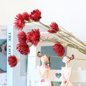 Yunnan fabrika kurutulmuş çiçekler kar lotus çiçekler beyaz açık pembe kar lotus gümüş kurutulmuş papatya çiçek - Product Image 6