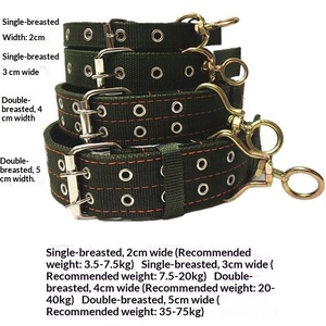 Collar para Perro Ajustable de Doble Fila Ancho y Grueso con Diseño Anti-Atragantamiento y Correa, para Perros Medianos/Grandes/Pequeños - Product Image 2