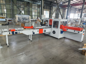 Macchina per Confezionamento Tridimensionale di Fazzoletti Morbidi Completamente Automatica Xinyun, Motore con Riduttore, 100-150 Pacchetti/Min, 380V 50Hz, Certificazione CE - Product Image 6