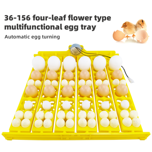 ถาดใส่ไข่ไก่สำหรับ<span class=keywords><strong>ฟัก</strong></span>ไข่ 36 ฟอง แบบมัลติฟังก์ชั่น ขายดีอันดับต้นๆ - Product Image 1