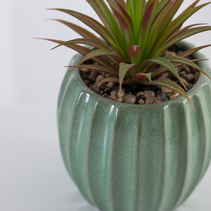 YUANWANG Decorazione Casa, <span class=keywords><strong>Piante</strong></span> Succulente Artificiali a Forma di <span class=keywords><strong>Cactus</strong></span> in Vaso di Ceramica, Guangdong - Product Image 4