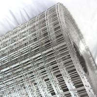 Grillage soudé en acier inoxydable 304 de Chine - Clôture en treillis métallique argenté de haute qualité, épaisseur élevée 0,5-2,0 mm, trous hexagonaux/diamantés
