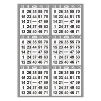 Tarjetas de Bingo Reutilizables de Papel Premium, Datos Variables, Multicolor, Impresión Digital, Tarjetas de Bingo Personalizadas