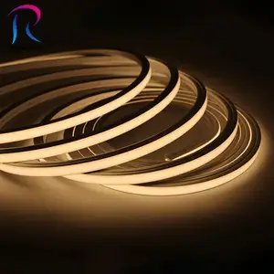 RAYMATES DC24V 100% Silicone 1010 Neon Light Strip IP67 Outdoor LED Rope White Color Neon Flex Light