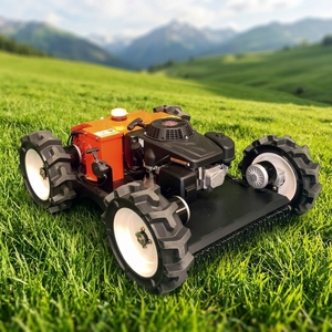 Tondeuse à gazon autoportée VTW550, largeur de coupe 550 mm, 4 roues, portée 200 m, démarrage électrique, pour jardin résidentiel - Product Image 1