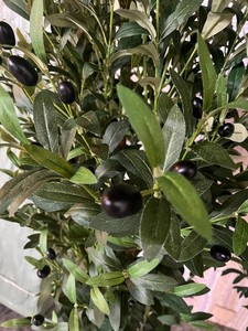 Albero di Ulivo Artificiale Verde da 150cm con Tronco in Legno Naturale per Decorazione Casa, Ufficio e Hotel - Product Image 5