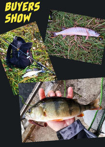 Anneau d'<span class=keywords><strong>impact</strong></span> Supercontinent de haute qualité 63-97mm, <span class=keywords><strong>shad</strong></span> à queue en T pour la pêche au bar et au brochet en eau douce et salée, leurre de nage et jigging - Product Image 4