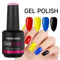 RONIKI Vente en gros de vernis à ongles en gel UV longue durée en flacon de 15 ml, ensemble de vernis à ongles semi-permanents, marque privée OEM/ODM Salon