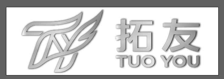 Hebei Tuoyou Sports Goods Co., Ltd. logo