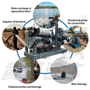 6 Inch High Water Pump Irrigation Agricultural Well Engine Cast Iron Pumps Horizontal M6 the Pump Body Is Cast From High-strengt - Product Image 2