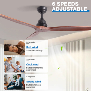 Nieuwe product huisdecoratie 48 inch omkeerbare motor huishoudelijke afstandsbediening stille luchtkoeling plafondventilator zonder verlichting - Product Image 2