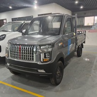 Mini camionnette électrique RHD avec benne à plateau pour ferme et ranch, véhicule utilitaire 4 roues, petit camion de transport, directement de l'usine