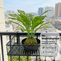 Plante tropicale artificielle Calathea Orbifolia en plastique, réaliste, en vrac, directement de l'usine, pour le bureau du Nouvel An, durable et légère