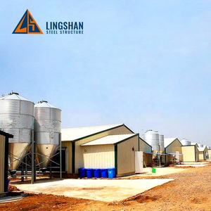 منزل دواجن تجاري منخفض التكلفة بهيكل فولاذي منزل مزرعة دجاج بناء فولاذي مسبق الصنع للبيع - Product Image 5