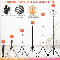 Anneau lumineux LED pour selfie de 12 pouces à prix abordable avec trépied de 1,6 m ou 2,1 m – Le meilleur anneau lumineux pour les maquilleurs et la photographie de produits