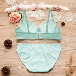 P7022 Groothandel Naadloze Sujetador Reggiseno Soutien Kloof 2 Stuk Vrouwen Ondergoed Slipje En Bh Set - Product Image 3