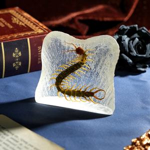 Insectes réalistes en résine en gros, scorpion, araignée, forme de montagne, thème animal, décoration d'intérieur, souvenir - Product Image 4
