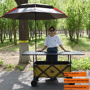 Meistverkaufter Leichtgewichtiger Kleiner Klappbarer Lift-Up Tischwagen Camping-Einkaufstrolley Faltbarer Gartenwagen - Product Image 2
