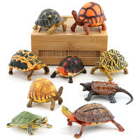 Figura de Tortuga de Simulación, Juguete Educativo de Animales para Niños, Tortuga Terrestre Realista, Tortuga Marina, Modelo de Tortuga Estrella, Juguete Cognitivo