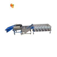Fruit Sizer Grader Fruit Classifier Machine Pumpkin Seed and Fruit Sorting Machine