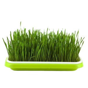 Plateaux <span class=keywords><strong>de</strong></span> culture hydroponique sans terre pour graines et <span class=keywords><strong>semis</strong></span>, bacs <span class=keywords><strong>de</strong></span> germination en plastique pour pépinière, jardin pour la maison et le bureau - Product Image 2