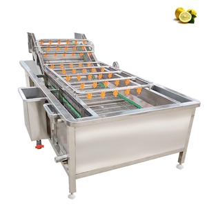 Machine de nettoyage à bulles pour fruits et légumes, machine de lavage à bulles semi-automatique, machine de nettoyage de fruits et légumes - Product Image 2