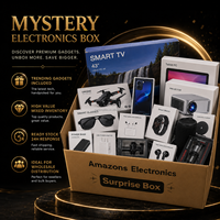 Boîte Mystère Tendance 10 Kg Électronique : Smartphone, Tablette, Écouteurs, Haut-parleur, Console de Jeu - Stock en Gros pour Revente