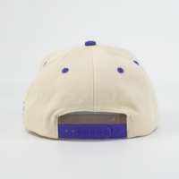 5-delige gestructureerde baseballcap groothandel handborduurwerk fruitmotief off-white kroon 100% katoenen velours gestreept tweekleurig