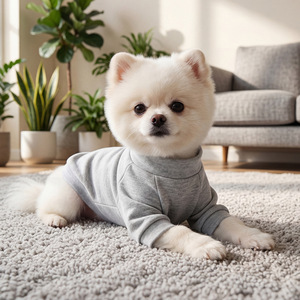 PETCIRCLE Pet Clothing - Spring and Autumn - Small Dog, Puppy, and <b>Cat</b> <b>Clothes</b> - Plain Crew Neck Shirts - Product Image 1
