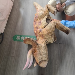 Étui en cuir pour robot chien Yushu, motif dinosaure Triceratops, avec fonction de personnalisation - Product Image 3