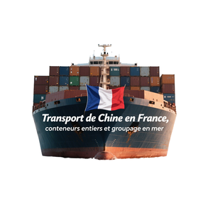 Miglior servizio di trasporto marittimo porta a porta FCL LCL da <span class=keywords><strong>Dalian</strong></span> Ningbo a Lille Strasbourg France - Product Image 2