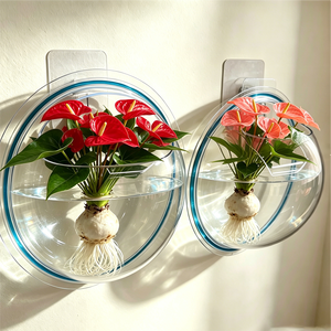 Vase suspendu hydroponique transparent de qualité supérieure, sans perçage, auto-adhésif, pour plantes murales, idéal pour les bureaux modernes - Product Image 2