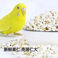 식품 사용을위한 말린 홍화씨 건조 맛