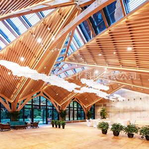 Casa Móvil Moderna de Madera para Hotel con Instalación In Situ - Product Image 2