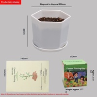 Kinder-DIY-Erforschungs-Pflanzspielzeug Grünpflanzen-Wachstumsbeobachtung Kleine Topfpflanzen Kindergarten-Blumensamen-Set Großhandel