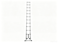 Échelle télescopique en alliage d'aluminium de 5,9 m avec barre d'équilibrage, capacité de charge de 150 kg, verrouillage manuel pour utilisation extérieure