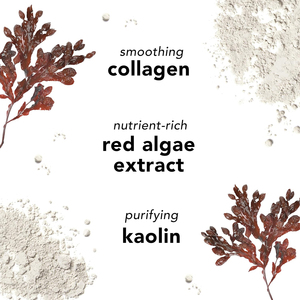 <span class=keywords><strong>Masque</strong></span> de boue au collagène OEM <span class=keywords><strong>Masque</strong></span> facial à l'<span class=keywords><strong>argile</strong></span> anti-acné au collagène <span class=keywords><strong>Masque</strong></span> d'<span class=keywords><strong>argile</strong></span> de marque privée Poudre pour femme et <span class=keywords><strong>homme</strong></span> - Product Image 4