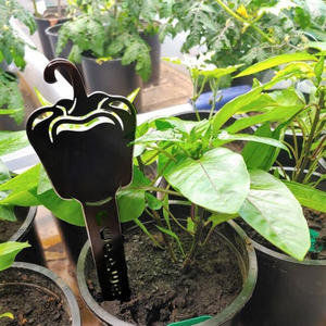 Etichette <span class=keywords><strong>in</strong></span> Metallo per Piante da Giardino, Targhette <span class=keywords><strong>in</strong></span> Ferro per Erbe, Verdure e Frutta, Picchetti Decorativi per Vasi <span class=keywords><strong>di</strong></span> <span class=keywords><strong>Fiori</strong></span> - Product Image 6