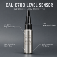 Capteur de niveau submersible en acier inoxydable CAL-C700 pour réservoir d'eau, piscine et mesure du niveau de liquide industriel