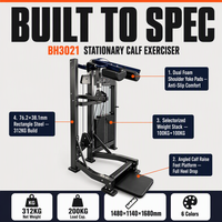 ZOFAN Appareil de musculation pour mollets debout, équipement de force avec pile de poids pour salle de sport commerciale, faible MOQ, OEM, ODM