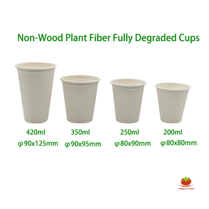 180ml 6oz Compostable Bagasse Coffee <strong>Cups</strong> <strong>OK</strong> Compost PFAS Free PPWR Comply Hot Drink <strong>Cups</strong> for European Cafe Wholesale - Product Image 5