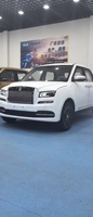 Grille Bergaya Rolls-Royce untuk EV Kecepatan Rendah, Mobil Listrik Rumah Tangga Kelas Atas
