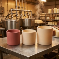 Vente en gros de pots à bougies en verre rouge mat givré de qualité supérieure, personnalisés et luxueux, de 8 oz, 10 oz et 14 oz, avec couvercle et emballage en boîte