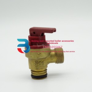 Caldaie a parete originali tedesche <span class=keywords><strong>Viessmann</strong></span> Duval Boto Yandi Demiraud con valvola di sicurezza a 3 bar, senza alimentazione elettrica per il riscaldamento - Product Image 6